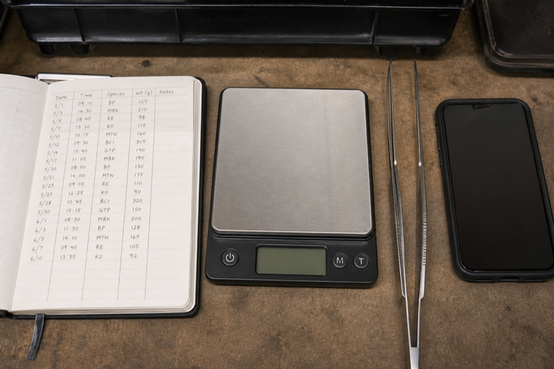 Feeding record setup with notebook scale tongs and phone